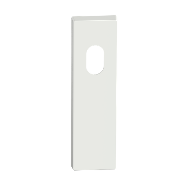 Rectangular Blank Plate Cylinder/Concealed WHT 