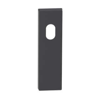 Rectangular Blank Plate Cylinder/Concealed BLK 