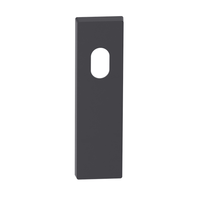 Rectangular Blank Plate Cylinder/Concealed BLK 