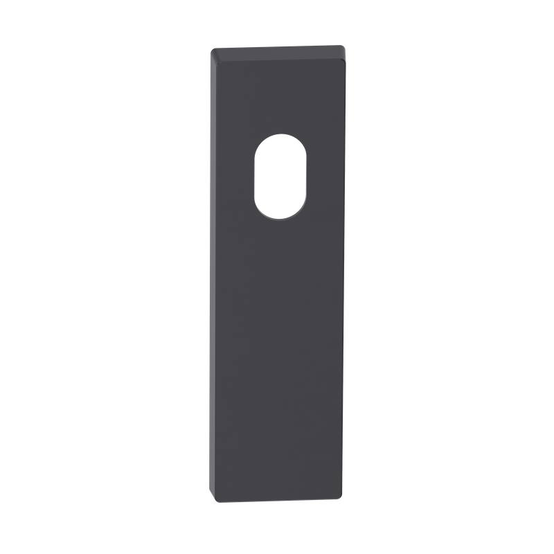 Rectangular Blank Plate Cylinder/Concealed BLK 