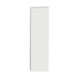 Rectangular Blank Plate Plain/Concealed WHT