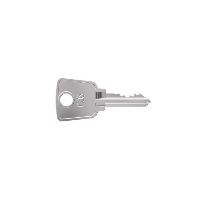 003 Fire Department Key