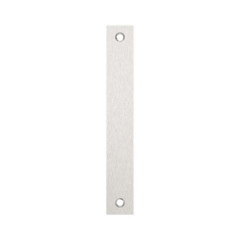 A0100 Blank Face Plate SSS