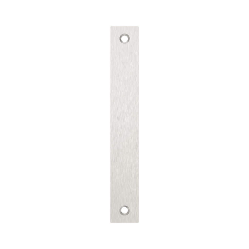 A0100 Blank Face Plate SSS