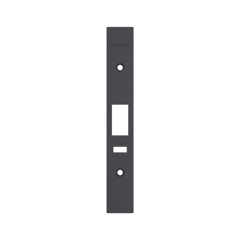 A0100 Mortice Lock Faceplate