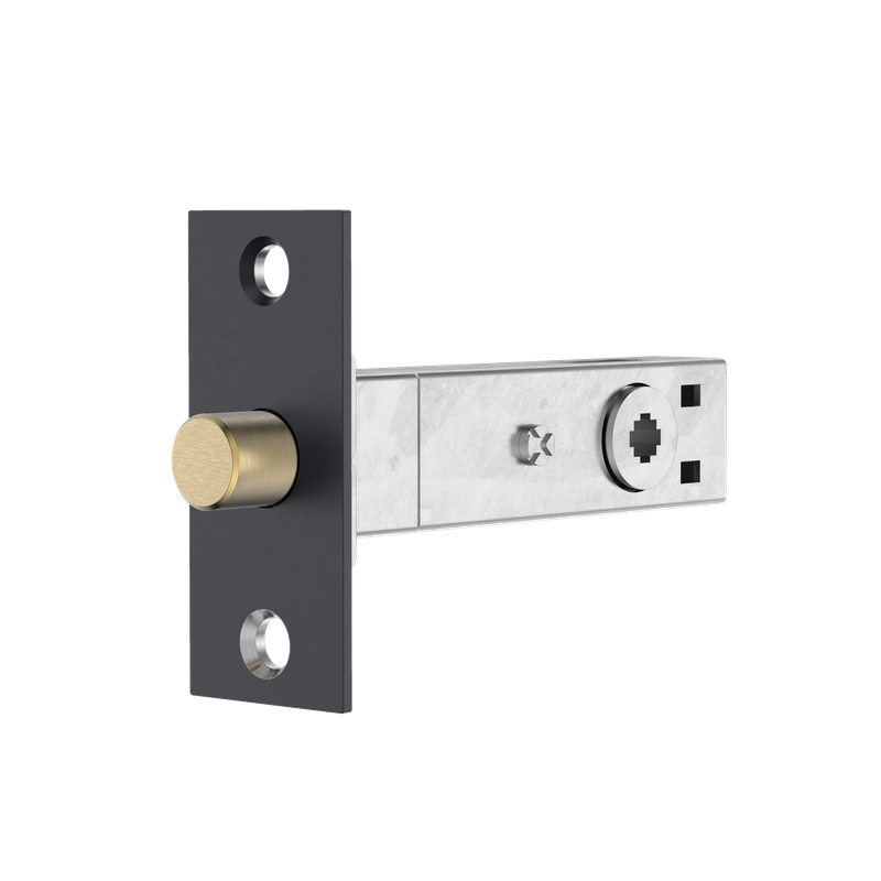 A1001 Tubular Bolt 60mm Backset