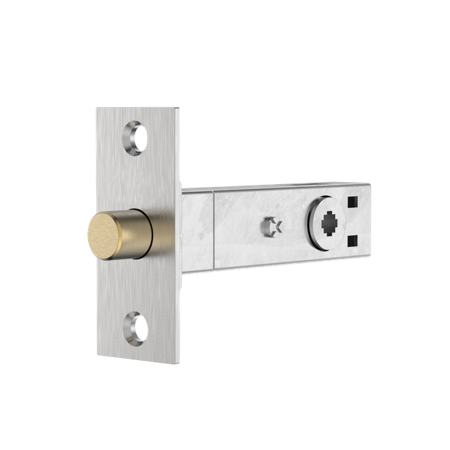 A1001 Tubular Bolt 60mm Backset