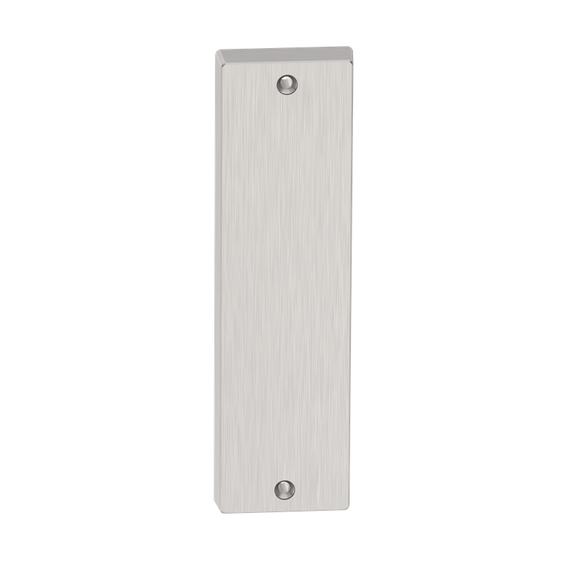 Rectangular Blank Plate Plain/Visible SSS