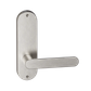 B7630 Oval Plate Lever #30 Plain/Visible
