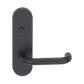 B7910 Oval Plate Lever #10 Emergency Release Indicating/Concealed