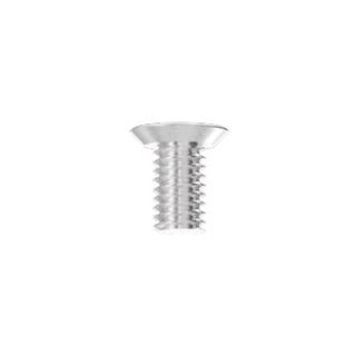 A0100 Faceplate fixing screw SSS