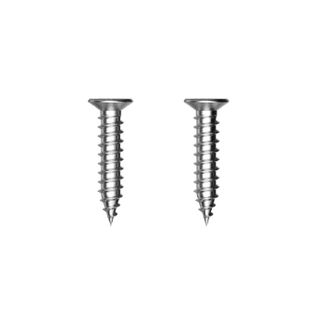 A0100 Latch Strike Timber Fixing Screw SSS