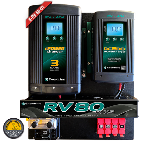 RV 80 PLUS BOARD with Monitor