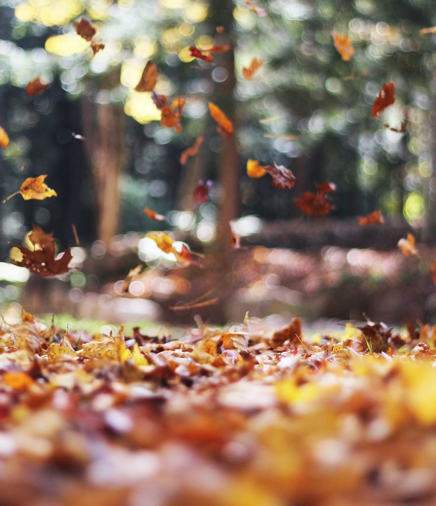 How Does the End of Daylight Savings Affect Sleep?