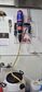 Bracton Beerline Clean System 1 Pump Suits 1xDRE3 Upto 25% Craft DOSATRON