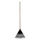 RAKE PLASTIC 450mm WITH WOOD HANDLE