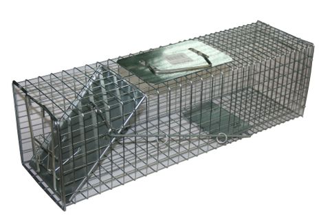 TRAP LIVE ANIMAL  80x25x30cms