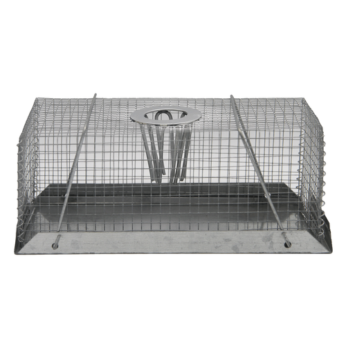 MOUSE TRAP TOP FUNNEL SMALL