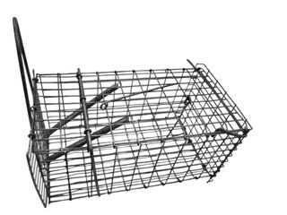 MOUSE RAT TRAP HUMANE MEDIUM