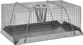 MOUSE TRAP TOP FUNNEL LARGE