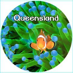 MAGNET QUEENSLAND (CLOWN FISH) 50MM