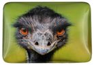 MAGNET EMU HEAD 50MM