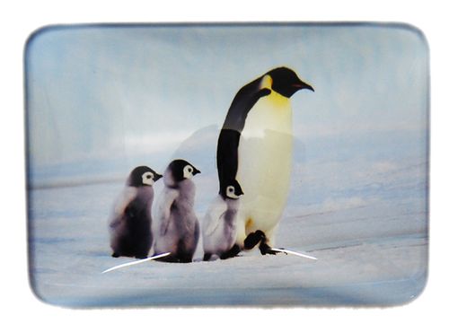 MAGNET EMPEROR PENGUINS 48MMX68MM