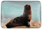 MAGNET FUR SEAL 48MMX68MM