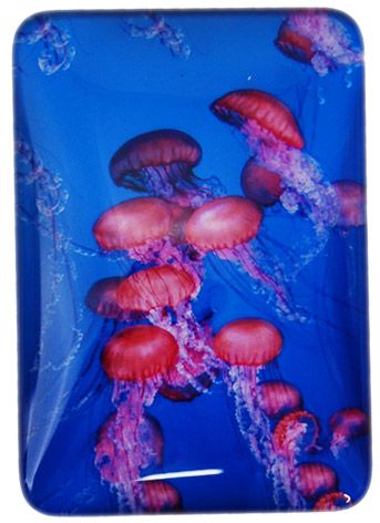 MAGNET JELLYFISH 48MMX68MM