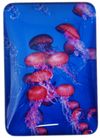 MAGNET JELLYFISH 48MMX68MM