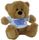 BEAR HAPPY FATHERS DAY SHIRT 23CM