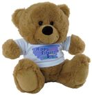 BEAR HAPPY FATHERS DAY SHIRT 23CM