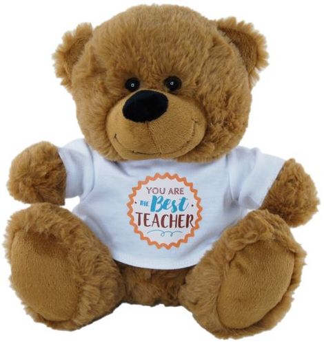 BEAR BROWN  BEST TEACHER SHIRT 23CM