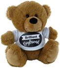 BEAR BRN BRILLIANT BF WHITE SHIRT 23CM