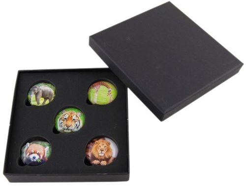 MAGNET BOX ZOO  ANIMALS 5 X 35MM (MZ)