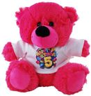 BEAR HAPPY 5TH BIRTHDAY 18CM