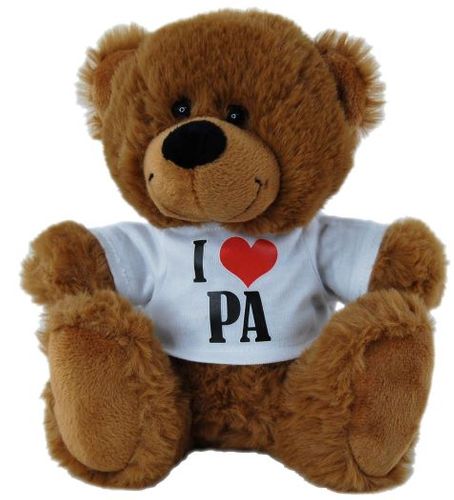 BEAR BROWN - I LOVE PA SHIRT 18CM