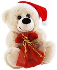 CHRISTMAS BEAR WITH BAG 18CM