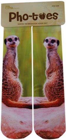 PHO-TOES SOCKS: MEERKATS PRINT