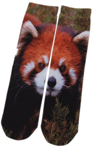 PHO-TOES SOCKS: RED PANDA PRINT