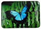 MAGNET BUTTERFLY 50MM