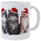 COFFEE MUG CHRISTMAS CAT
