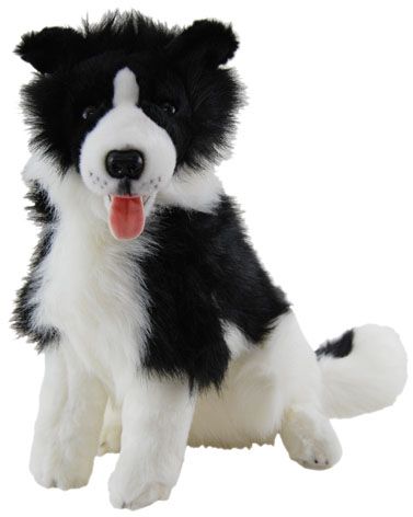 DOG BORDER COLLIE SITTING 38CM