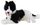 DOG BORDER COLLIE LAYING 44CM