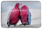 MAGNET GALAH 48MMX68MM