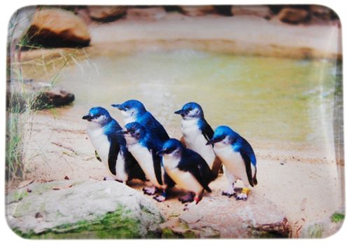 MAGNET LITTLE PENGUINS 48MMX68MM