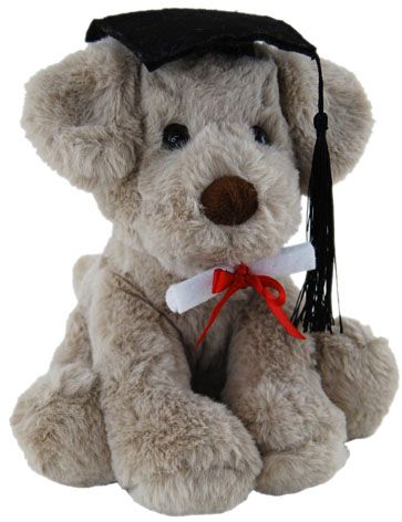 DOG ROCKY GRADUATION 20CM