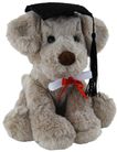 DOG ROCKY GRADUATION 20CM