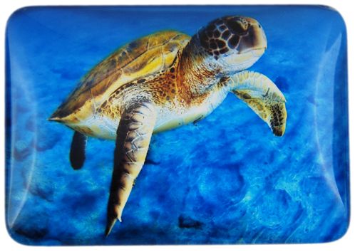 MAGNET SEA TURTLE 48MMX68MM