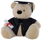 BEAR IN GRADUATION OUTFIT